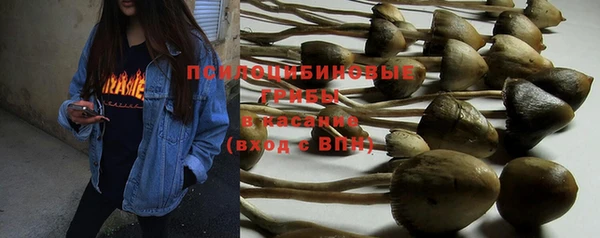 спайс Мегион