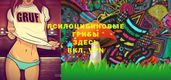 ешки Медвежьегорск