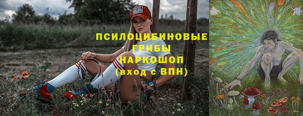 трава Медногорск