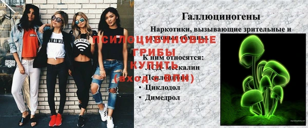 спайс Мегион