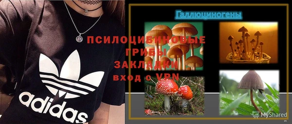 ешки Медвежьегорск