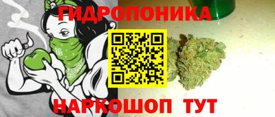 apvp Дубна