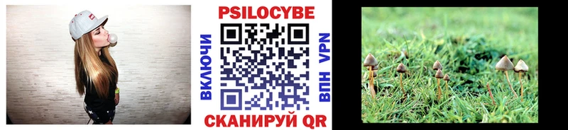 Псилоцибиновые грибы мицелий Иваново