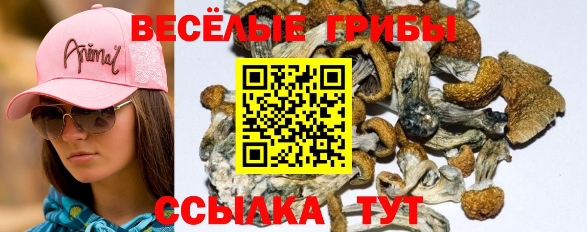Псилоцибиновые грибы MAGIC MUSHROOMS Иваново