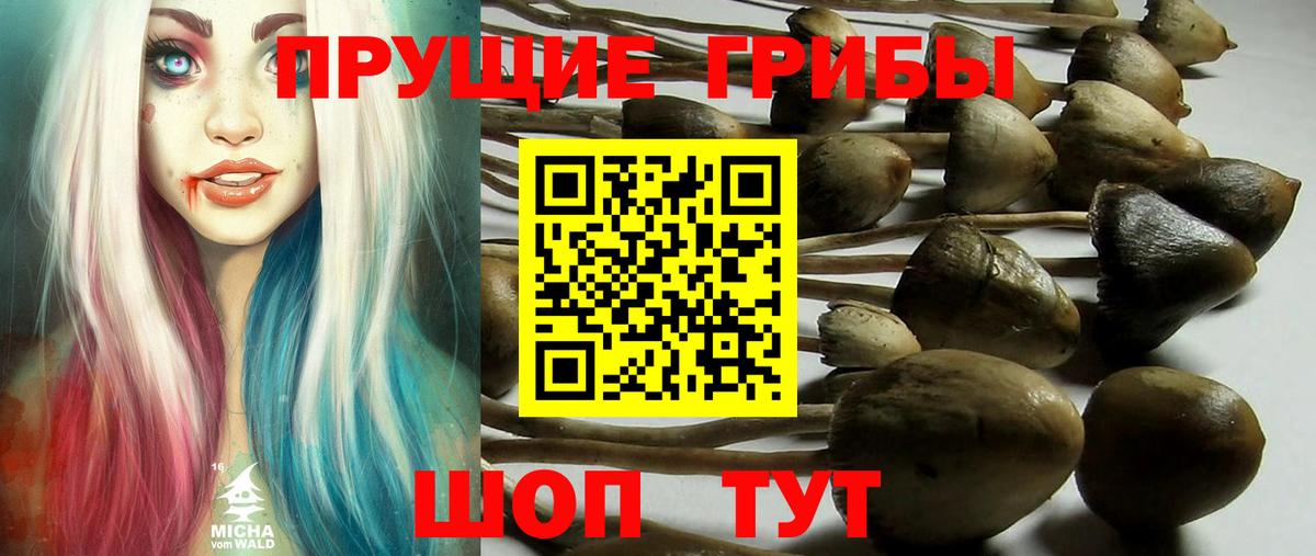 Галлюциногенные грибы прущие грибы  Вход с VPN  Псилоцибиновые грибы GOLDEN TEACHER  Иваново 